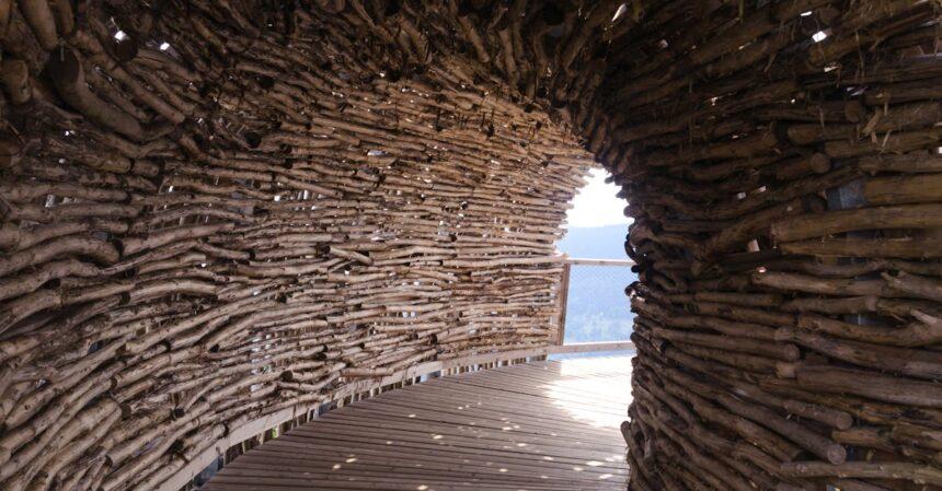 découvrez les attractions incontournables de votre destination : des merveilles naturelles aux parcs d'attractions palpitants, vivez des expériences inoubliables qui éveilleront vos sens et enrichiront vos souvenirs. explorez, amusez-vous et laissez-vous séduire par l'aventure.