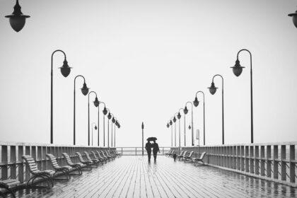 découvrez l'essence de l'affection, un lien émotionnel profond qui nourrit des relations authentiques. explorez les différentes formes d'affection et apprenez comment cet attachement peut enrichir votre vie quotidienne.
