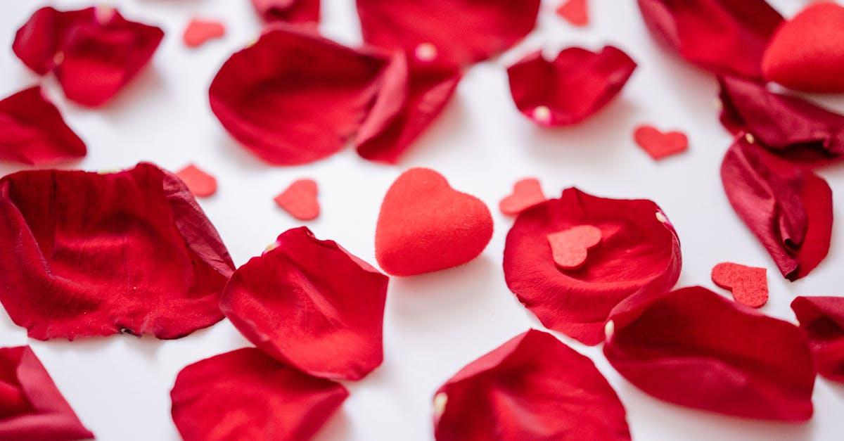 découvrez les nuances de l'amour avec 'falling in love', une exploration émotive des sentiments, des rencontres et des connexions qui transforment nos vies. plongez dans une histoire d'amour captivante qui vous fera vibrer et rêver.