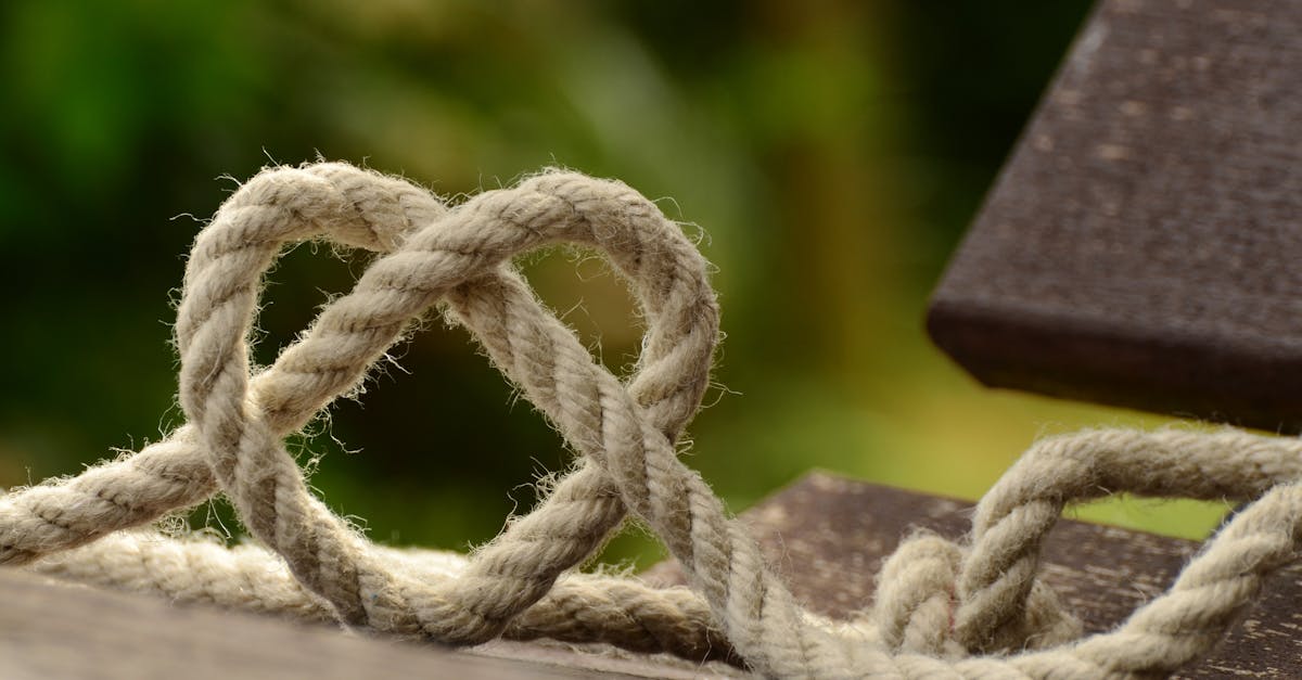 découvrez les mystères du cœur, cet organe vital qui symbolise l'amour et les émotions. explorez son fonctionnement, son rôle dans la circulation sanguine et son influence sur notre bien-être.