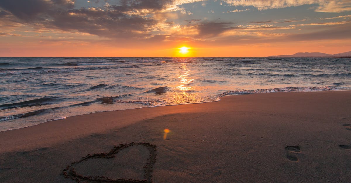 découvrez l'essence de l'amour à travers des réflexions, des histoires touchantes et des conseils pour nourrir vos relations. plongez dans un univers où les émotions prennent vie et explorez les multiples facettes de ce sentiment universel.