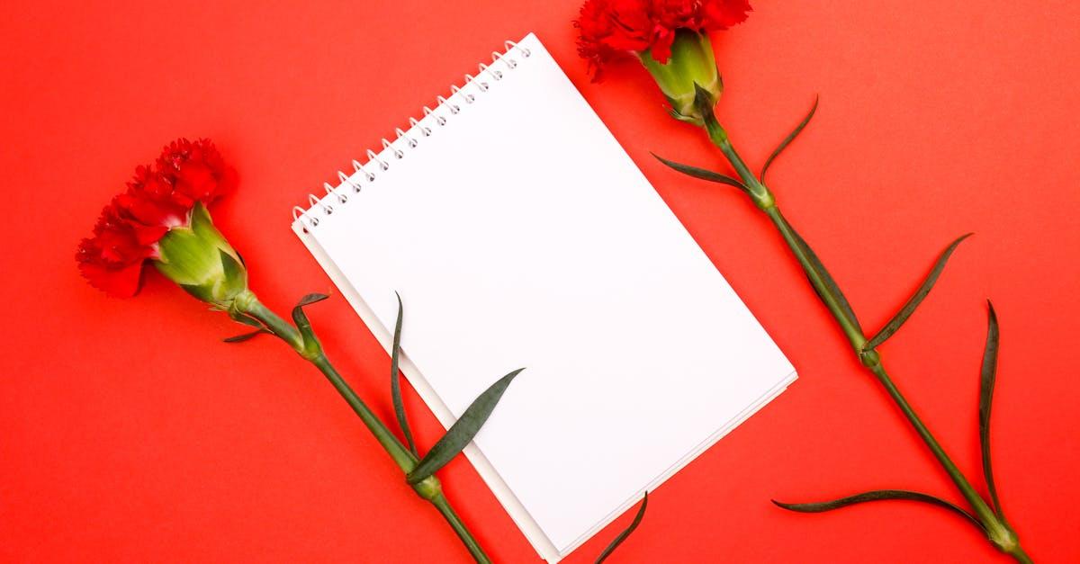 découvrez les intrigues et les passions qui se cachent derrière les portes de bureau dans notre exploration captivante de la romance au travail. plongez dans les relations complexes et les histoires d'amour inattendues qui naissent entre collègues.