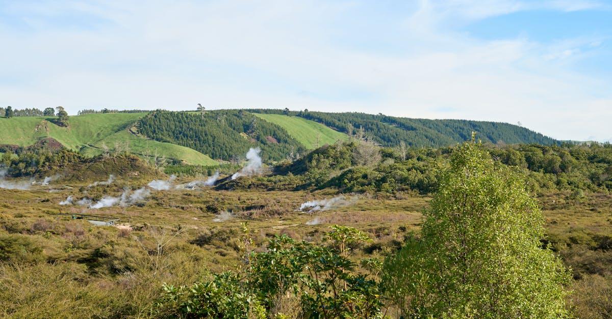 découvrez des attractions fascinantes qui éveillent vos sens et vous plongent dans des expériences inoubliables. que ce soit des parcs d'attractions, des sites culturels ou des événements uniques, vivez des moments mémorables et partagés en famille ou entre amis.