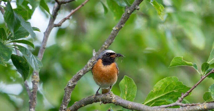 découvrez les erreurs courantes à éviter dans différents domaines de la vie quotidienne. apprenez à identifier et corriger ces pièges afin d'améliorer vos compétences et d'atteindre vos objectifs plus facilement.