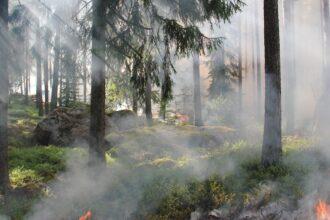 découvrez comment surmonter un désastre émotionnel et retrouver votre équilibre. nos conseils et stratégies vous aideront à naviguer à travers les tempêtes intérieures et à trouver la paix.