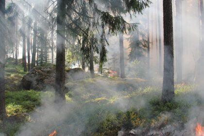 découvrez comment surmonter un désastre émotionnel et retrouver votre équilibre. nos conseils et stratégies vous aideront à naviguer à travers les tempêtes intérieures et à trouver la paix.