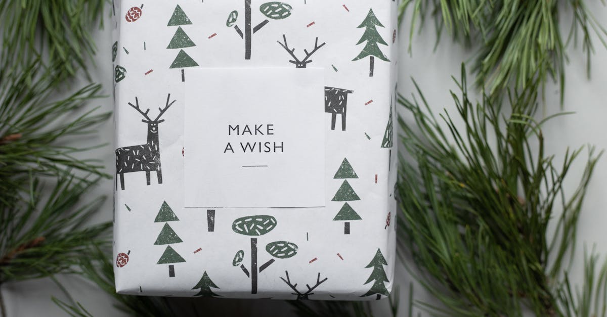 découvrez une sélection unique de cadeaux pour toutes les occasions ! que ce soit pour un anniversaire, une fête ou simplement pour faire plaisir, trouvez l'inspiration qui fera plaisir à vos proches.