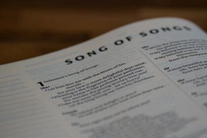 découvrez notre sélection des chansons sexy incontournables pour une ambiance sensuelle et envoûtante. parfaites pour vos soirées romantiques ou moments intimes.