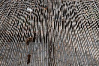 découvrez comment vivre des moments d'intimité en plein air grâce à nos conseils et idées pour des expériences uniques et romantiques en extérieur.