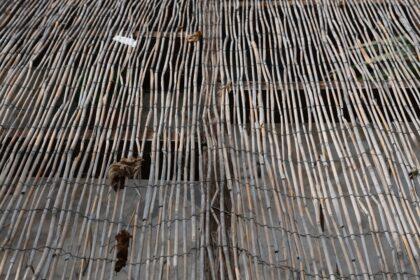 découvrez comment vivre des moments d'intimité en plein air grâce à nos conseils et idées pour des expériences uniques et romantiques en extérieur.