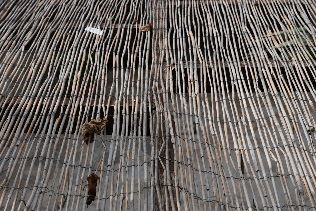 découvrez comment vivre des moments d'intimité en plein air grâce à nos conseils et idées pour des expériences uniques et romantiques en extérieur.