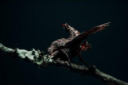 découvrez tout sur les phéromones : leur rôle, leur fonctionnement et leur influence dans le monde animal et humain.