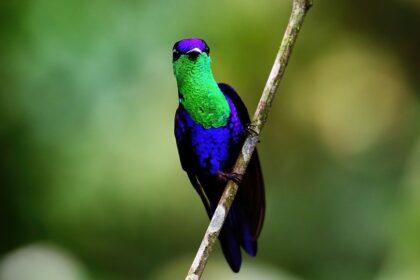 découvrez comment capter l'attention efficacement grâce à des techniques éprouvées pour séduire votre audience et maximiser votre impact.