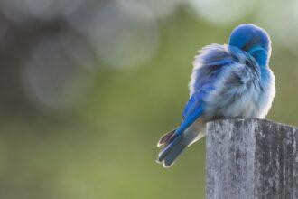 découvrez tout sur la timidité : ses causes, ses effets et des conseils pour la surmonter au quotidien.